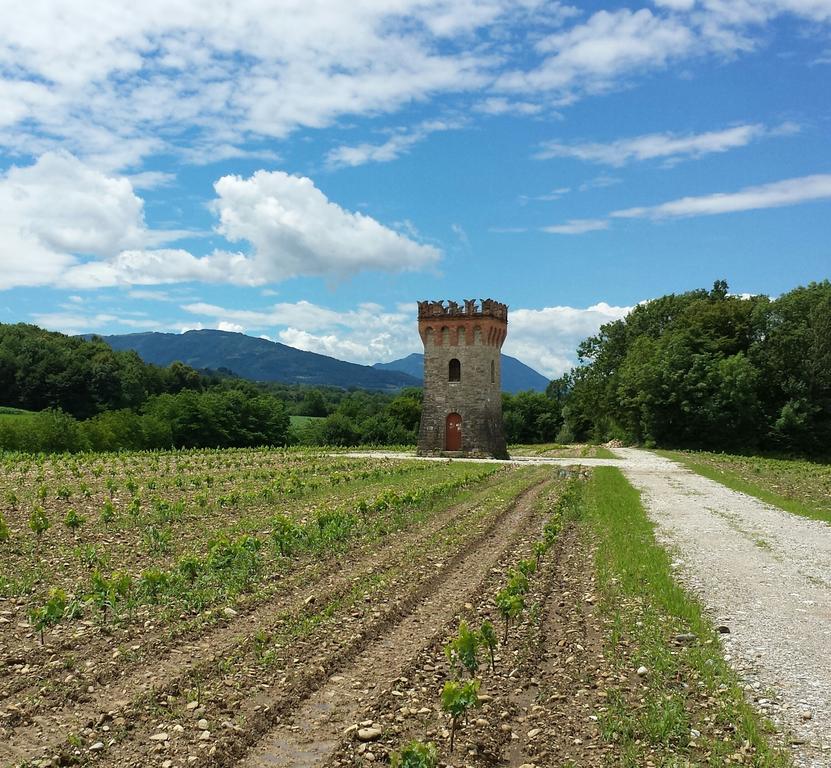 Agriturismo Casteldardo Guest House Trichiana Eksteriør bilde